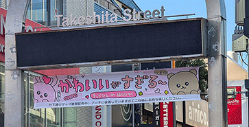Takeshita Street Protest